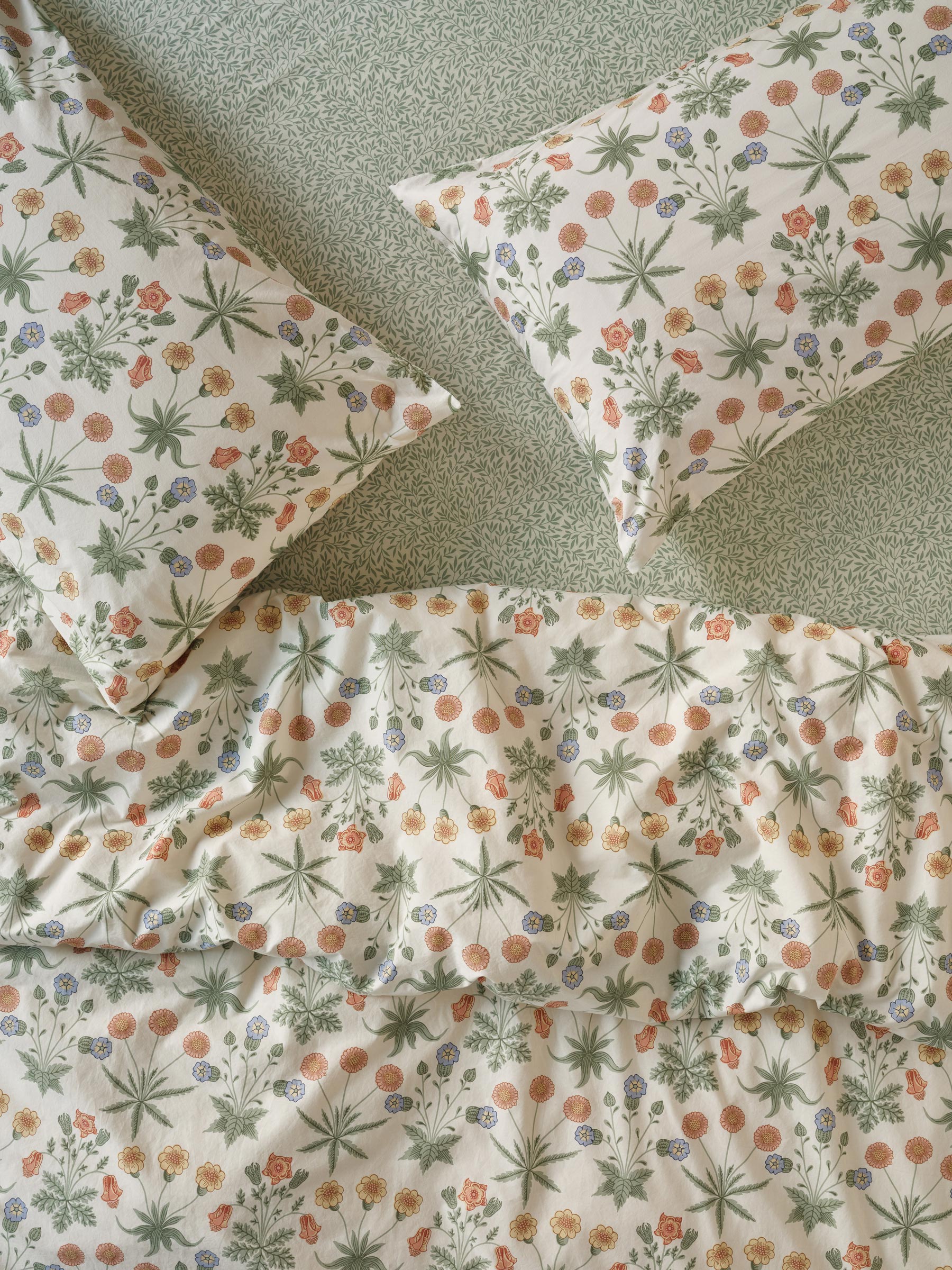 OH_COTTON_DAISY_346_1