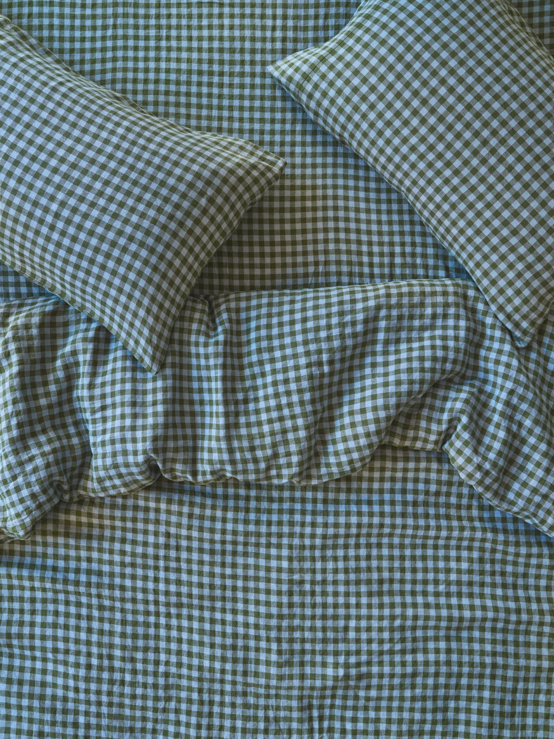 OH_FERN_GREEN_DUSK_BLUE_GINGHAM_293_copy